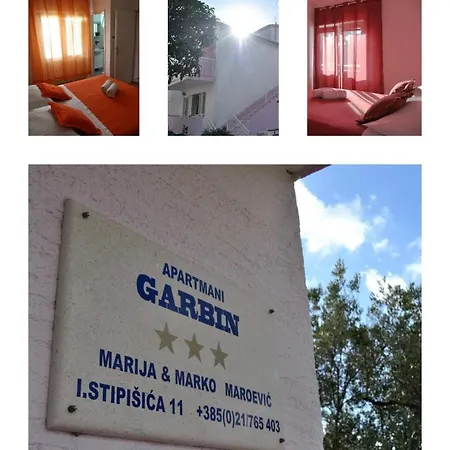 Cozy Levanda